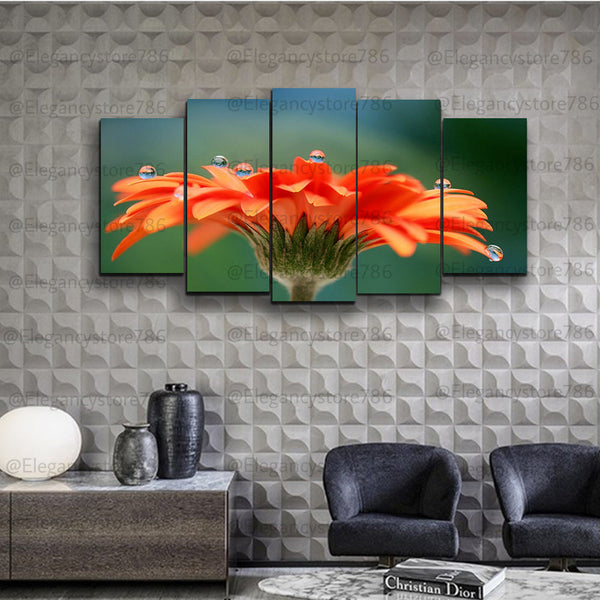 5 Splitter Nature Wall Frame (CSL_055)