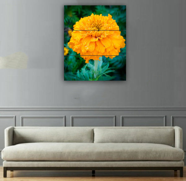 3 pcs Wall Frame (OP-02)