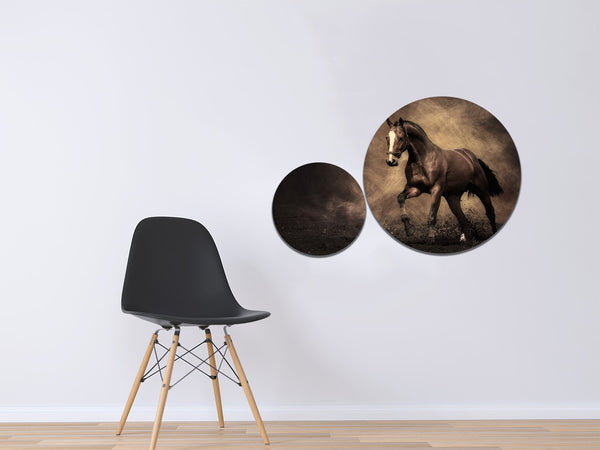 2 Pc Round Shape Frame