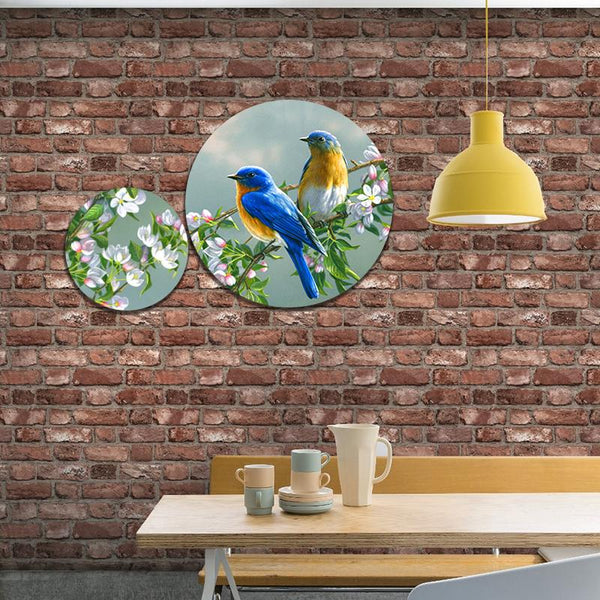 2 Pc Round Shape Frame