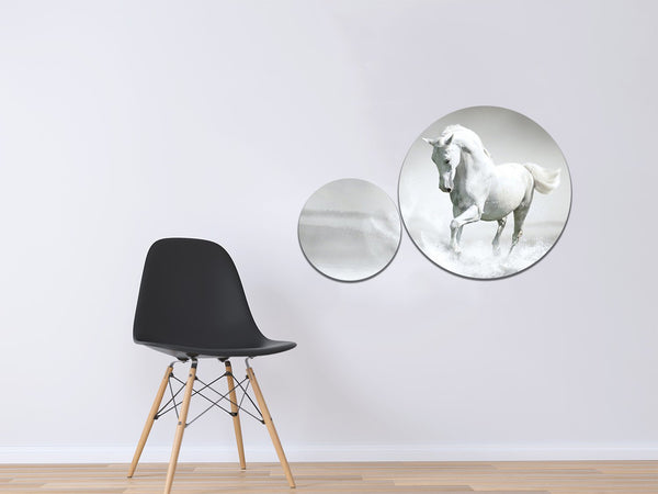 2 Pc Round Shape Frame