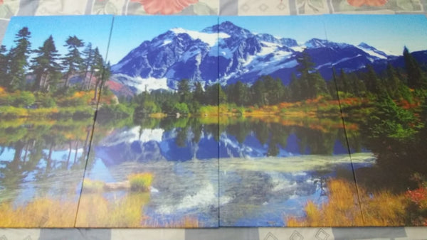 4 PCS WALL FRAME (24x48) (AB-146)