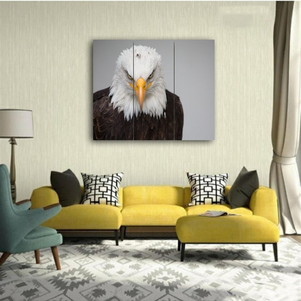 3 PCS Wall Frame (36X24) (sk2-020)